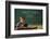 First Day of School-William P. Gottlieb-Framed Photographic Print