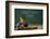 First Day of School-William P. Gottlieb-Framed Photographic Print