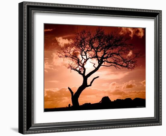 First Day-Mark James Gaylard-Framed Photographic Print