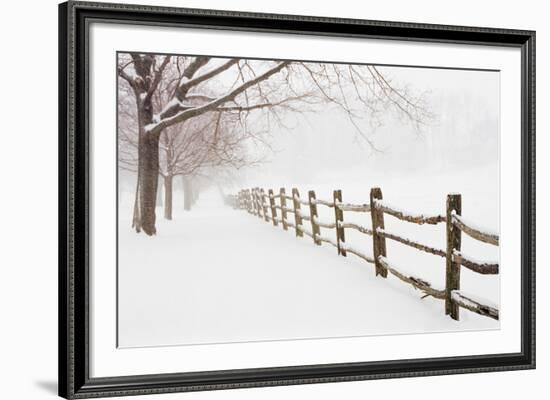 First Fall-Bill Coleman-Framed Giclee Print