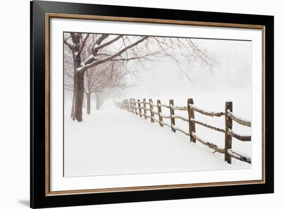 First Fall-Bill Coleman-Framed Giclee Print