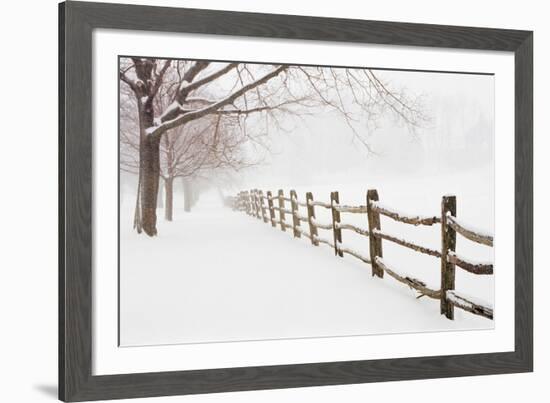 First Fall-Bill Coleman-Framed Giclee Print