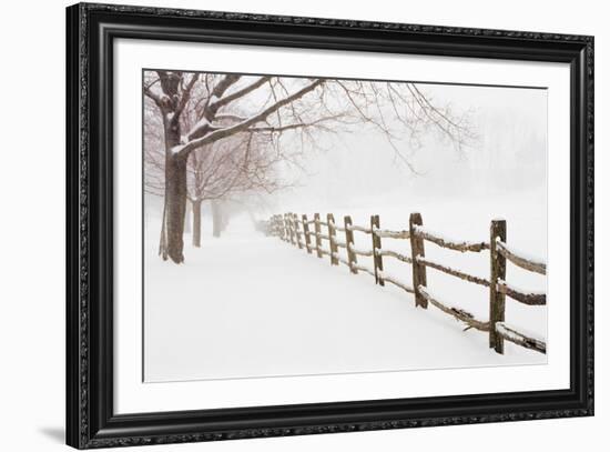 First Fall-Bill Coleman-Framed Giclee Print