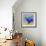 First Flight-Clayton Rabo-Framed Giclee Print displayed on a wall