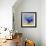 First Flight-Clayton Rabo-Framed Giclee Print displayed on a wall