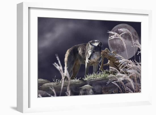 First Frost-Gordon Semmens-Framed Giclee Print