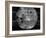 First Image of the Far Side of the Moon, from 63,500 Km (39,500 Miles)-null-Framed Photo