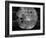 First Image of the Far Side of the Moon, from 63,500 Km (39,500 Miles)-null-Framed Photo