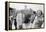 First Lady Betty Ford shakes hands at a campaign stop in the South, 1976-Thomas J. O'halloran-Framed Premier Image Canvas