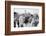 First Lady Betty Ford shakes hands at a campaign stop in the South, 1976-Thomas J. O'halloran-Framed Photographic Print