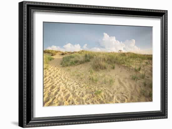 First Landing Dunes IV-Adam Mead-Framed Photographic Print