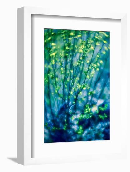 First Leaves-Ursula Abresch-Framed Photographic Print