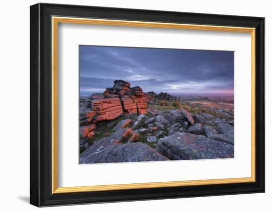 First light at sunrise glows against Belstone Tor, Dartmoor National Park, Devon, England. Summer (-Adam Burton-Framed Photographic Print