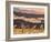 First Light In Joshua Tree National Park-Daniel Kuras-Framed Photographic Print