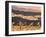 First Light In Joshua Tree National Park-Daniel Kuras-Framed Photographic Print