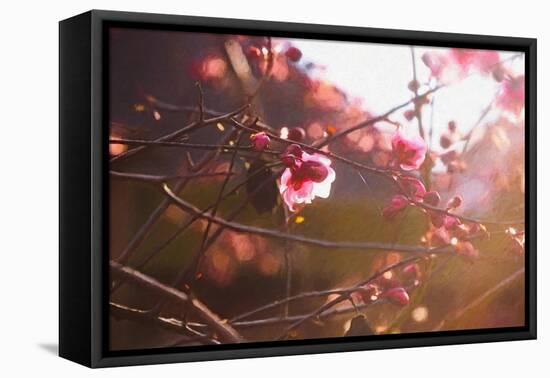 First Light of Spring, 2018,-Helen White-Framed Premier Image Canvas