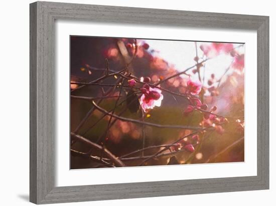 First Light of Spring, 2018-Helen White-Framed Giclee Print