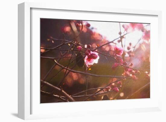 First Light of Spring, 2018-Helen White-Framed Giclee Print