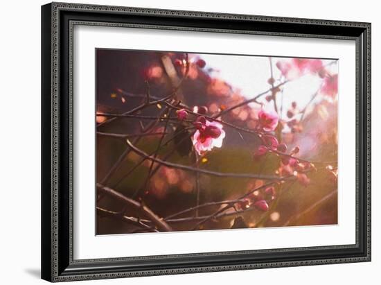 First Light of Spring, 2018-Helen White-Framed Giclee Print