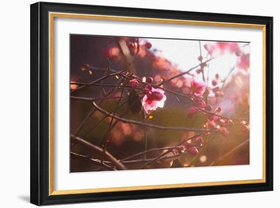 First Light of Spring, 2018-Helen White-Framed Giclee Print