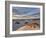 First Light on a Cluster of Yucca Among the Dunes, White Sands National Monument, New Mexico, USA-James Hager-Framed Photographic Print