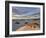 First Light on a Cluster of Yucca Among the Dunes, White Sands National Monument, New Mexico, USA-James Hager-Framed Photographic Print