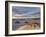 First Light on a Cluster of Yucca Among the Dunes, White Sands National Monument, New Mexico, USA-James Hager-Framed Photographic Print