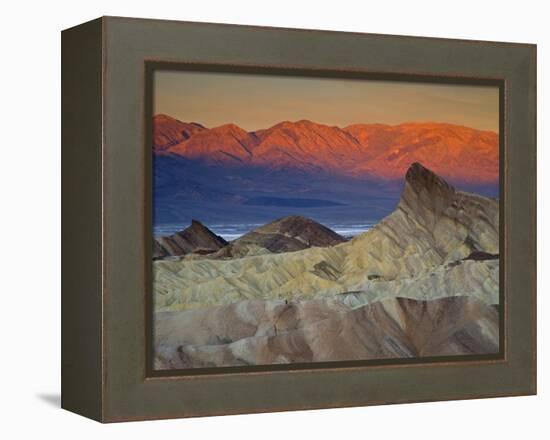 First Light on Zabriskie Point, Death Valley National Park, California, USA-Darrell Gulin-Framed Premier Image Canvas