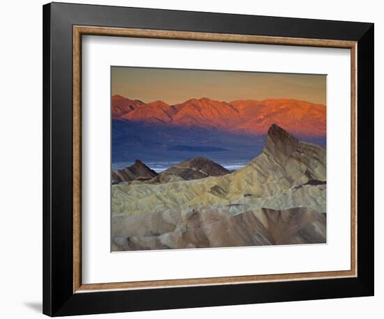 First Light on Zabriskie Point, Death Valley National Park, California, USA-Darrell Gulin-Framed Photographic Print