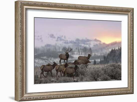 First Light-Nick Kalathas-Framed Giclee Print