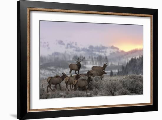 First Light-Nick Kalathas-Framed Giclee Print