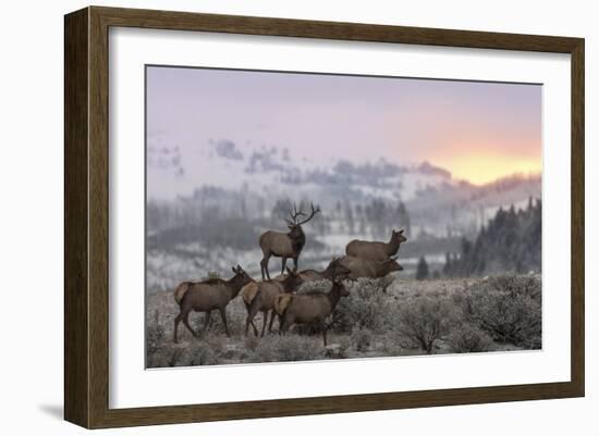 First Light-Nick Kalathas-Framed Giclee Print