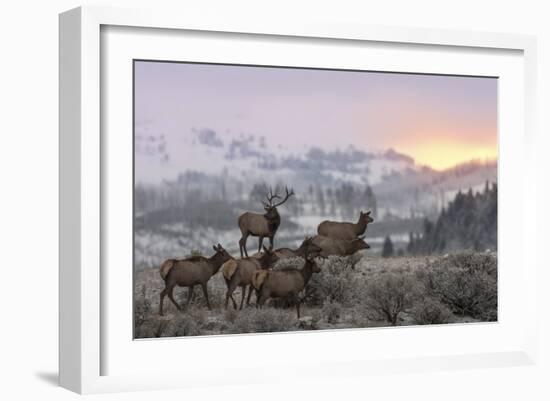 First Light-Nick Kalathas-Framed Giclee Print