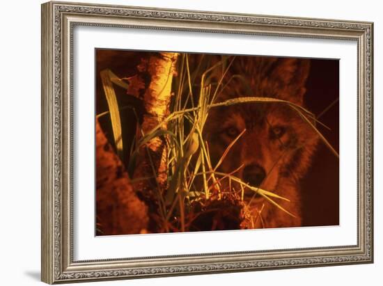 First Light-Gordon Semmens-Framed Giclee Print