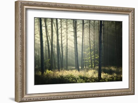 First Lights-Philippe Manguin-Framed Photographic Print