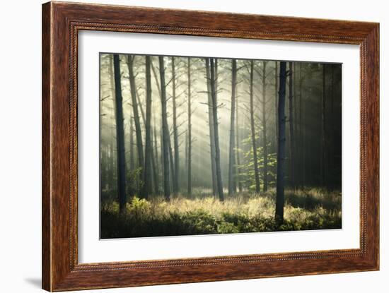 First Lights-Philippe Manguin-Framed Photographic Print