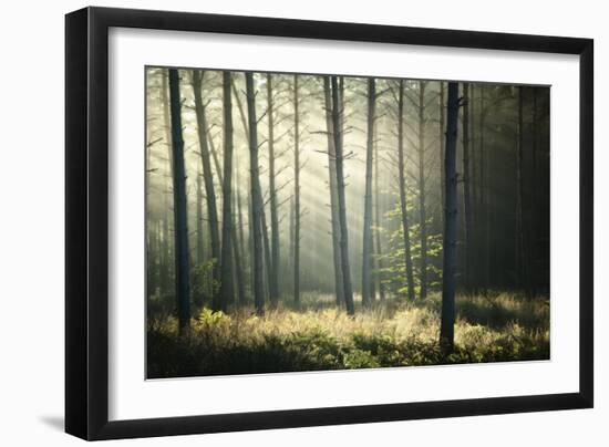 First Lights-Philippe Manguin-Framed Photographic Print