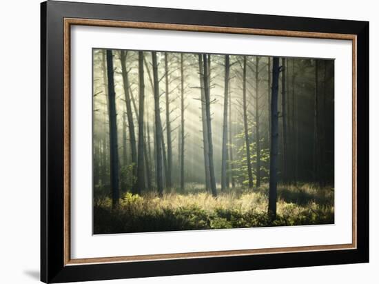 First Lights-Philippe Manguin-Framed Photographic Print