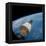 First Manned Space Rendezvous-null-Framed Stretched Canvas