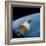 First Manned Space Rendezvous-null-Framed Photo