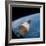 First Manned Space Rendezvous-null-Framed Photo