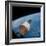 First Manned Space Rendezvous-null-Framed Photo