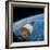 First Manned Space Rendezvous-null-Framed Photo