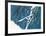 First Mountain Flying-Harry Schaare-Framed Collectable Print