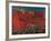 First of May-Emilio Notte-Framed Giclee Print