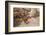 First Police Trap-Lawson Wood-Framed Premium Giclee Print