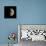 First Quarter Moon-Eckhard Slawik-Framed Premier Image Canvas displayed on a wall