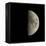 First Quarter Moon-Eckhard Slawik-Framed Premier Image Canvas