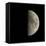 First Quarter Moon-Eckhard Slawik-Framed Premier Image Canvas