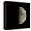 First Quarter Moon-Eckhard Slawik-Framed Premier Image Canvas